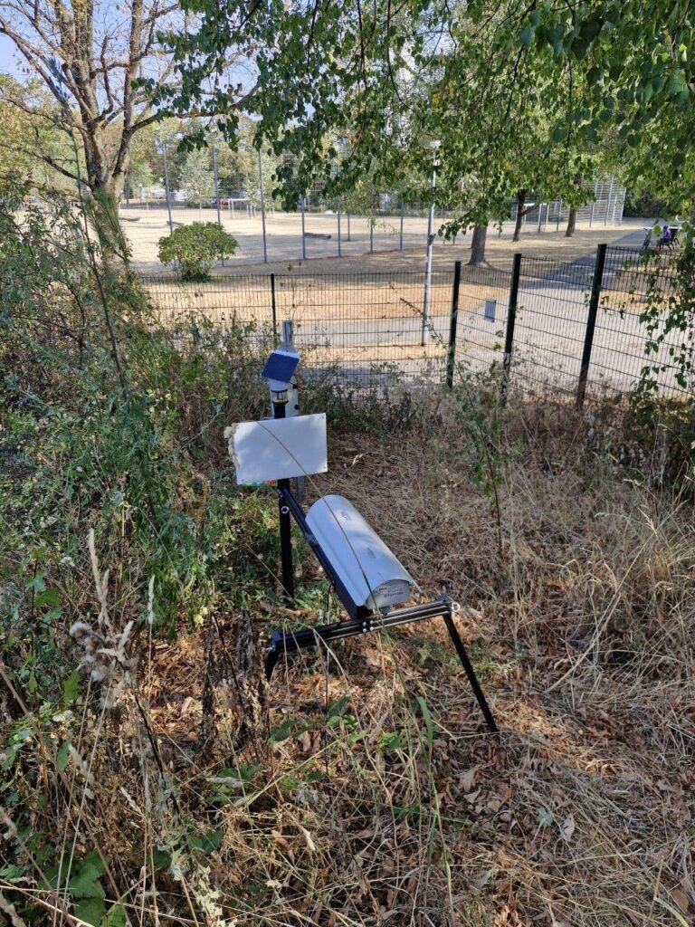 In Freiburg und anderen Städten in Süddeutschland war die Vegetation sehr trocken.