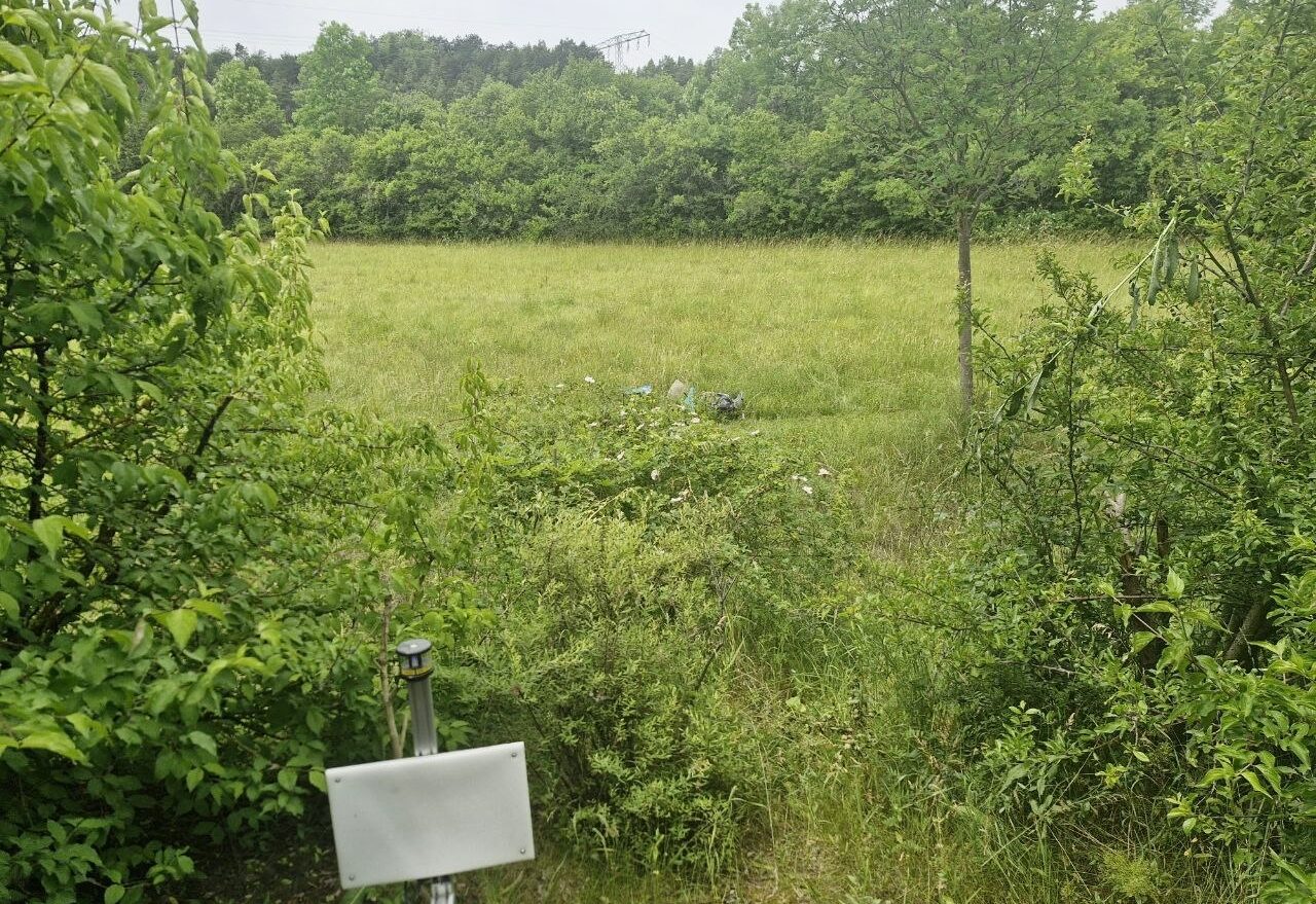 Einer der schönsten ARNI-Standorte entlang der Urbanisierungsgradienten befindet sich in Jena, angrenzend an eine Kalkmagerwiese.